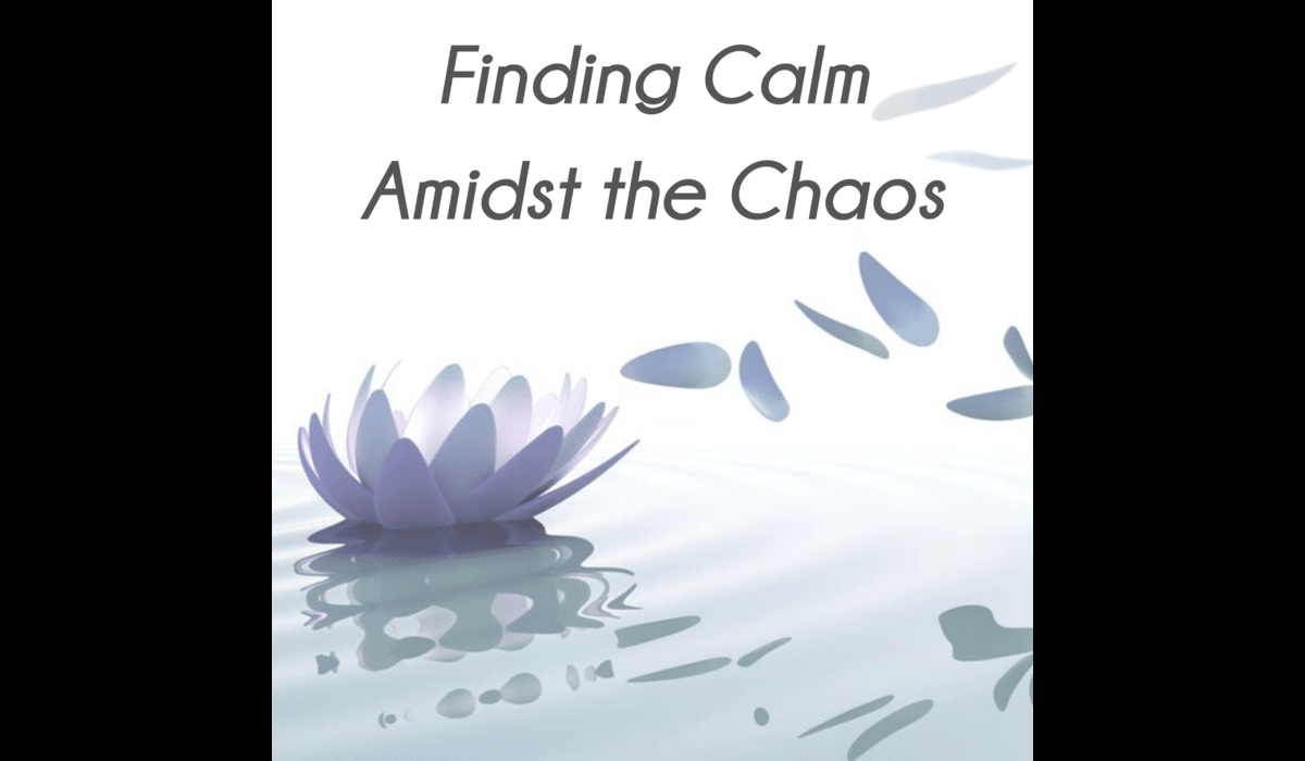 Calm Amid Chaos