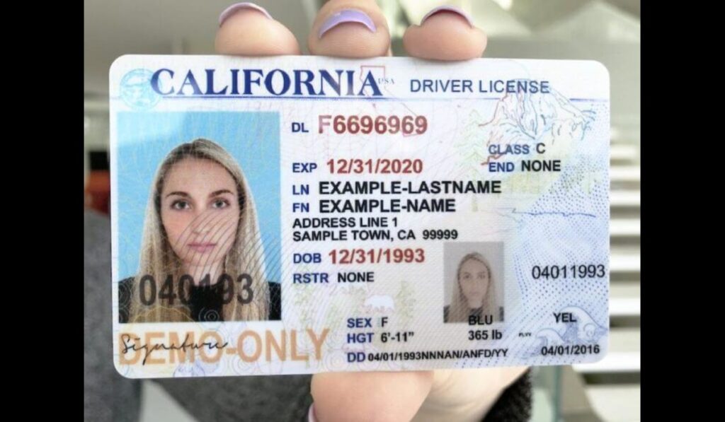 Fake IDs