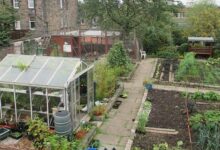 gorgie city farm