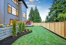 cheap privacy fence ideas