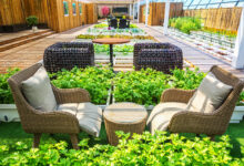 modern garden ideas on a budget