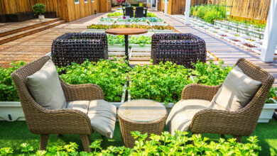 modern garden ideas on a budget